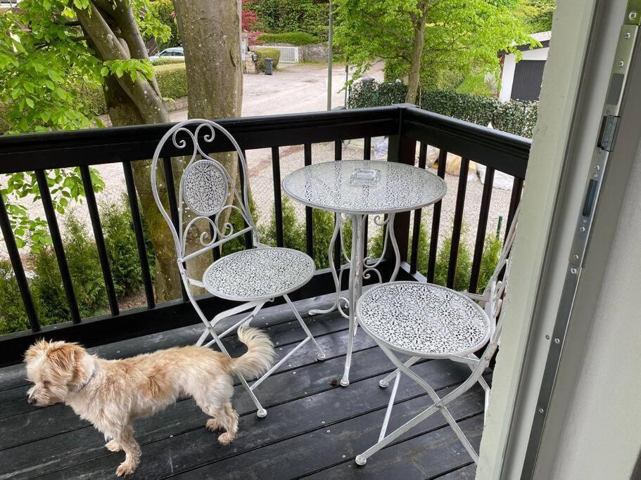 Ferienwohnung Thalia Berg am Starnberger See Bagian luar foto